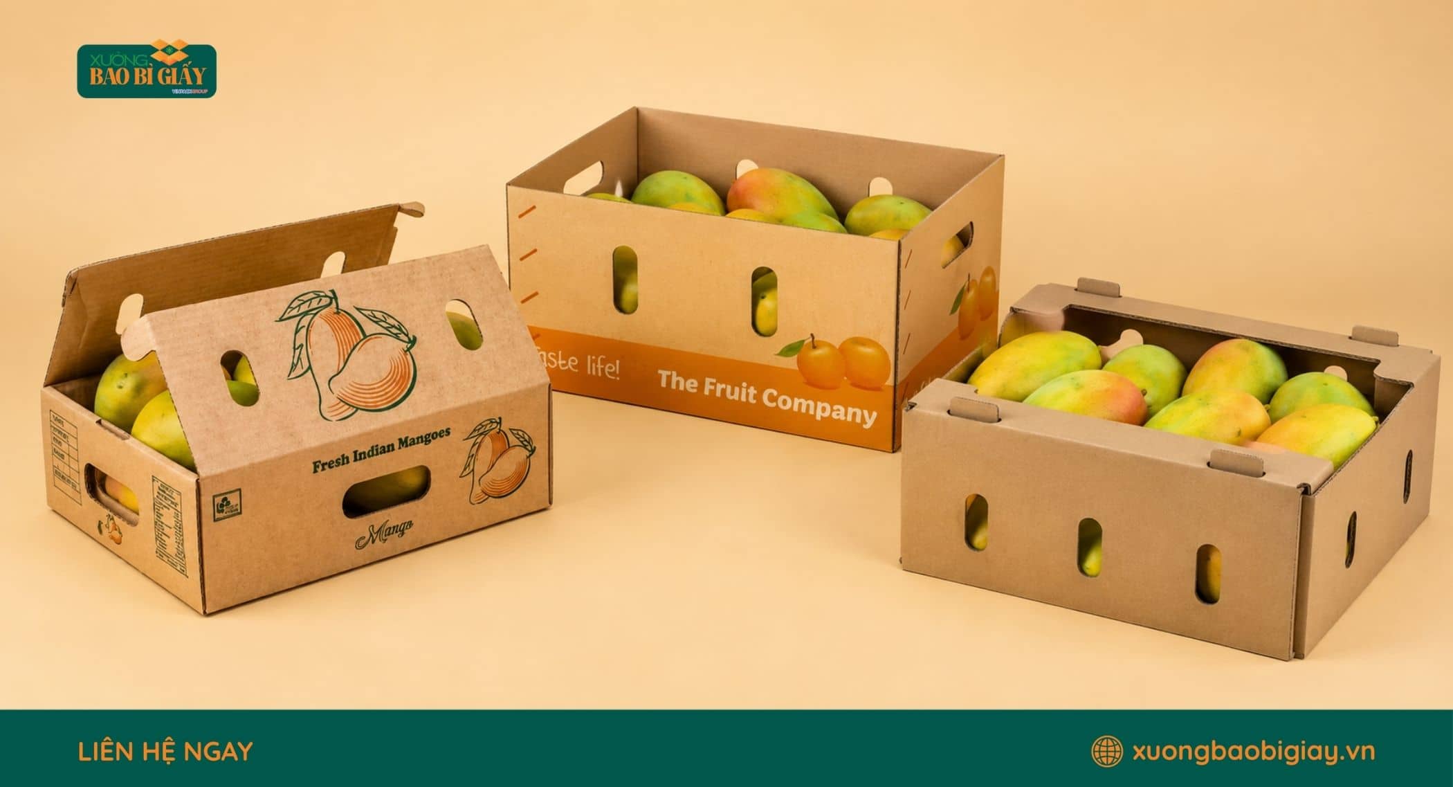 Bao bì carton giúp bảo vệ xoài trong quá trình lưu kho và vận chuyển