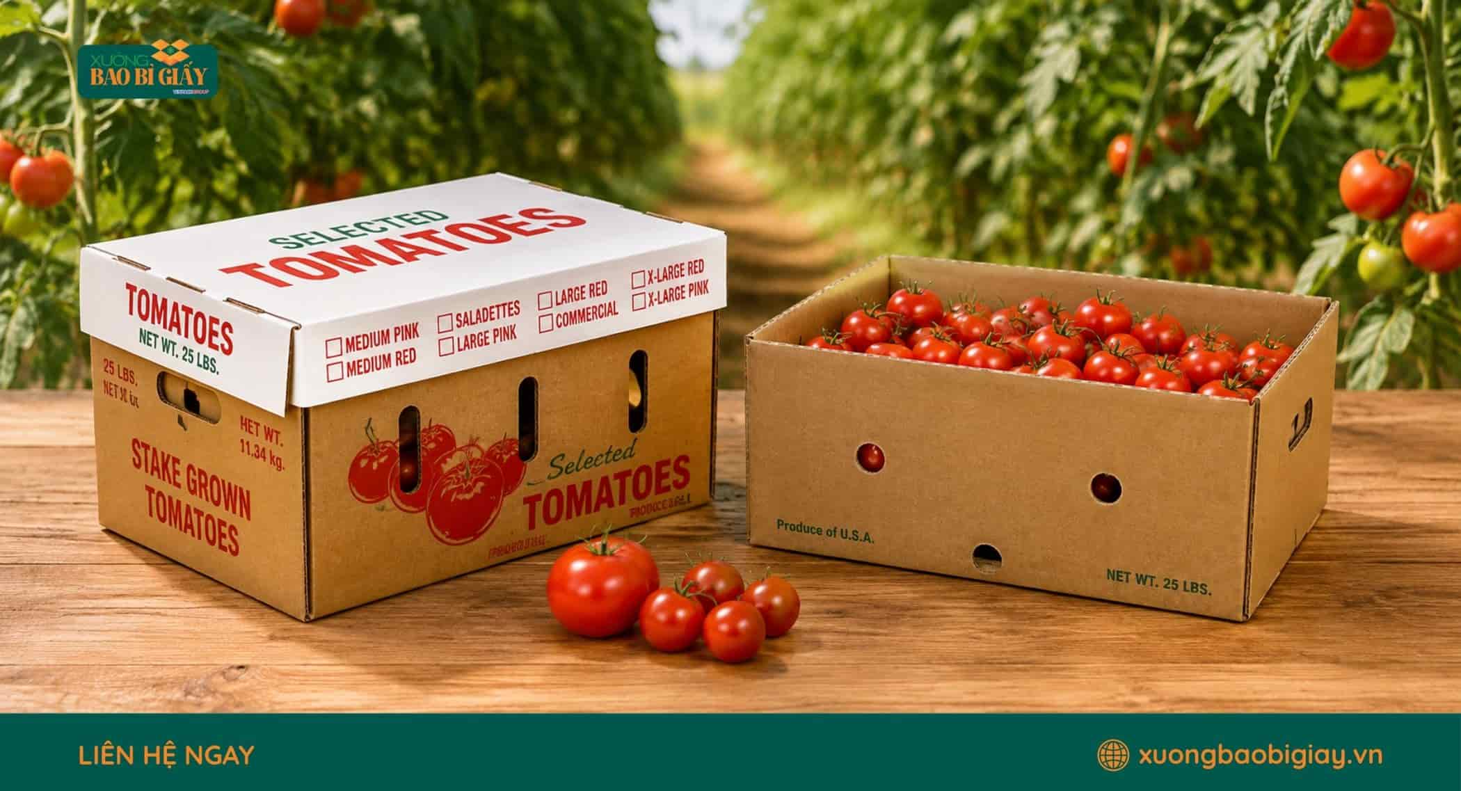 Thùng carton đựng cà chua tươi có lỗ thoáng khí giúp bảo quản trái tốt hơn
