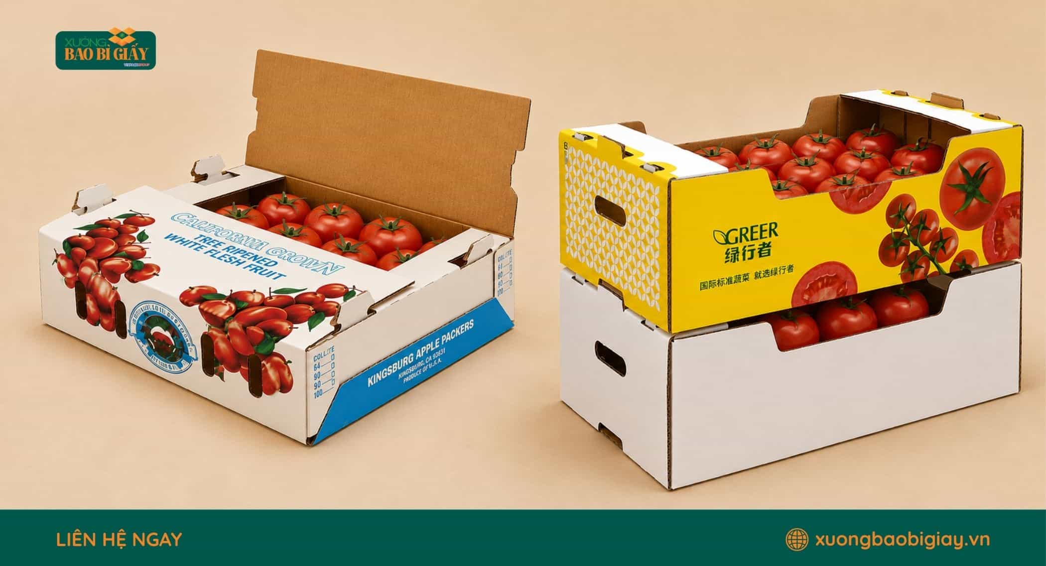 Các mẫu thùng carton đựng cà chua bi và cà chua tươi với kiểu dáng đa dạng