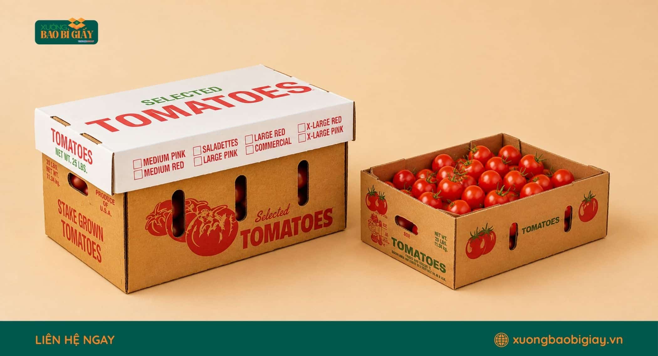 Thùng carton đựng cà chua xuất khẩu được thiết kế phù hợp vận chuyển và phân phối