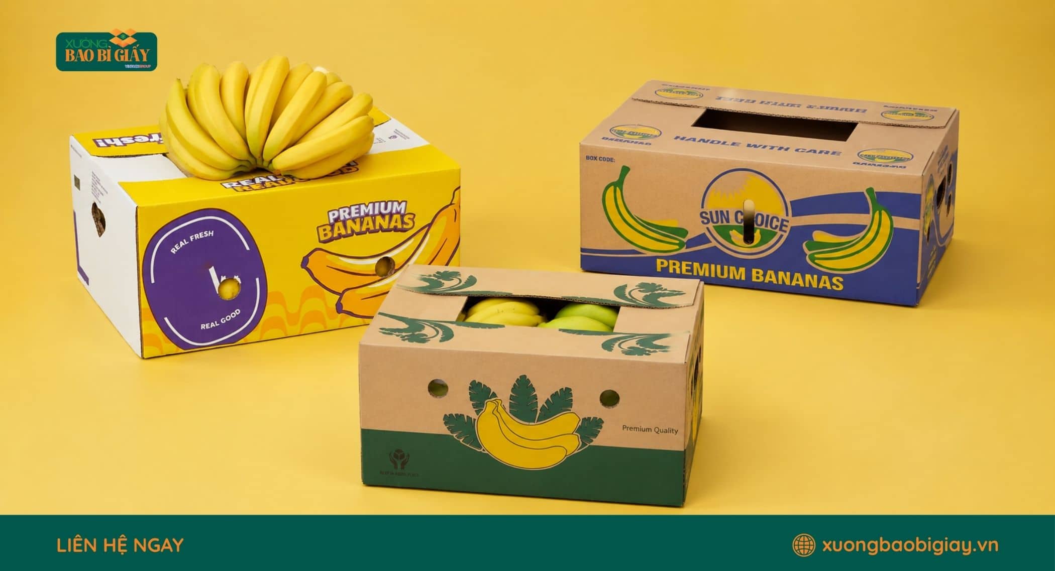 Bao bì carton ứng dụng trong bảo quản chuối và các mặt hàng nông sản