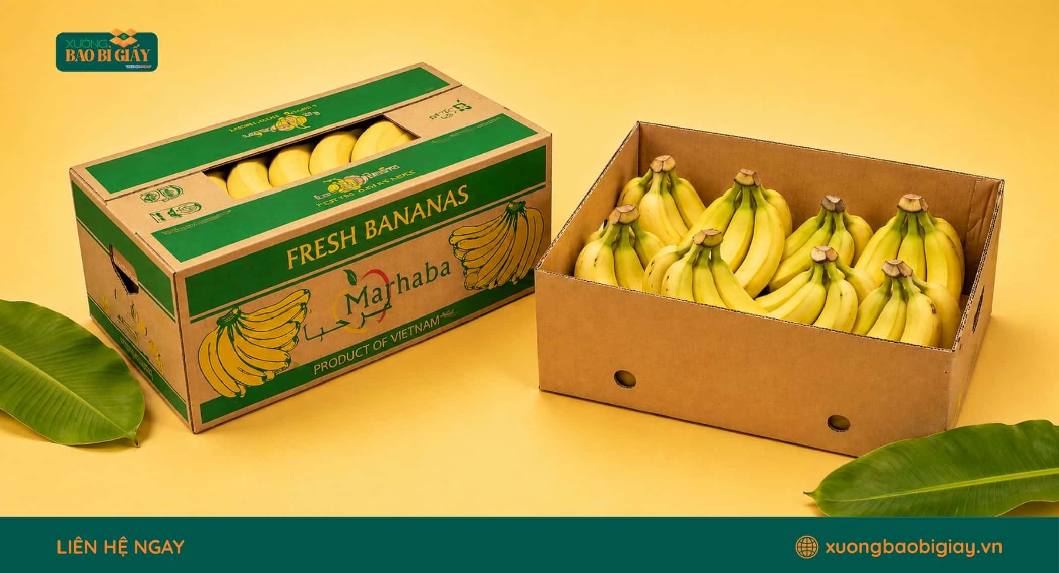 Thiết kế bao bì carton chuyên nghiệp giúp tăng nhận diện thương hiệu chuối