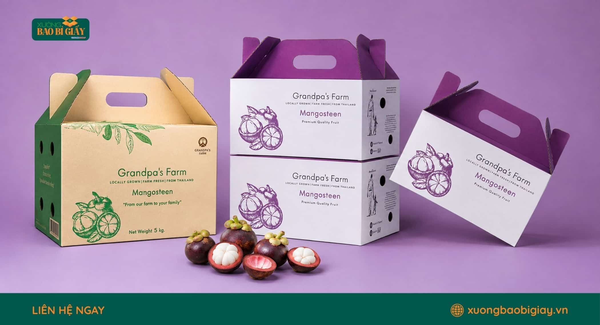 Thiết kế thùng carton đựng măng cụt có quai xách phù hợp bán lẻ và quà tặng nông sản