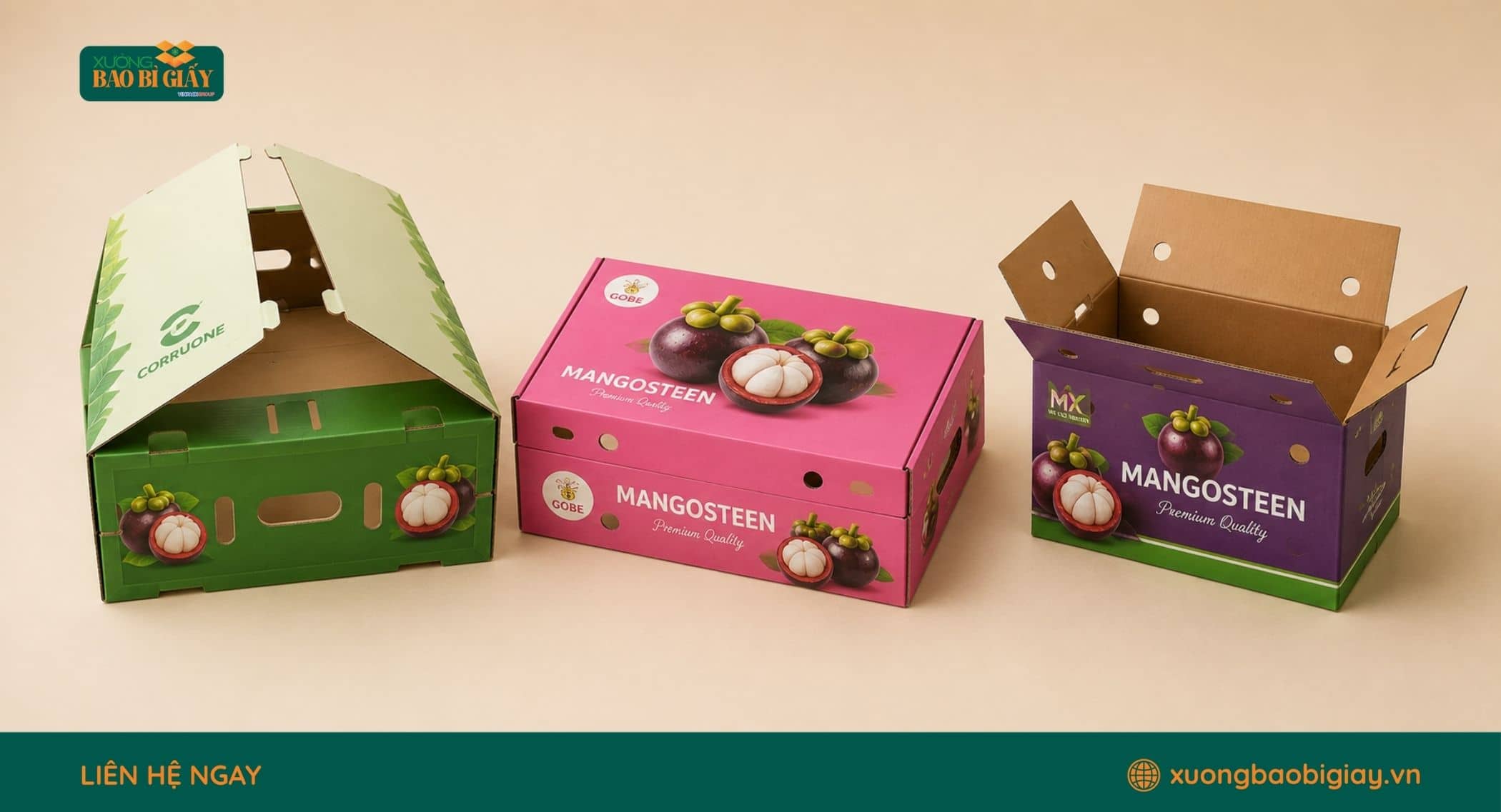 Bao bì carton đóng gói măng cụt phục vụ vận chuyển và xuất khẩu nông sản