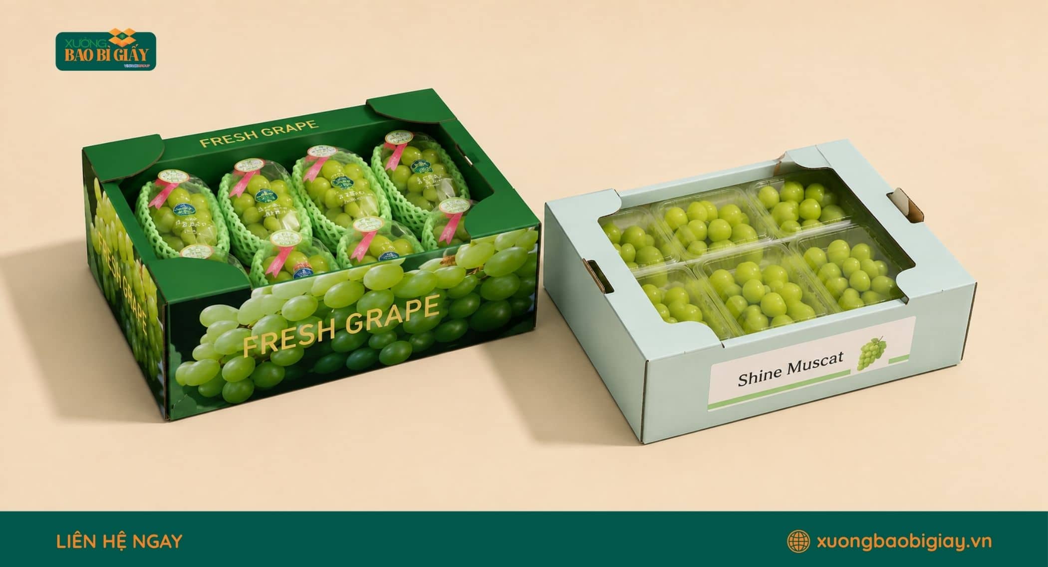 Bao bì carton in logo giúp nâng cao nhận diện thương hiệu nho và nông sản