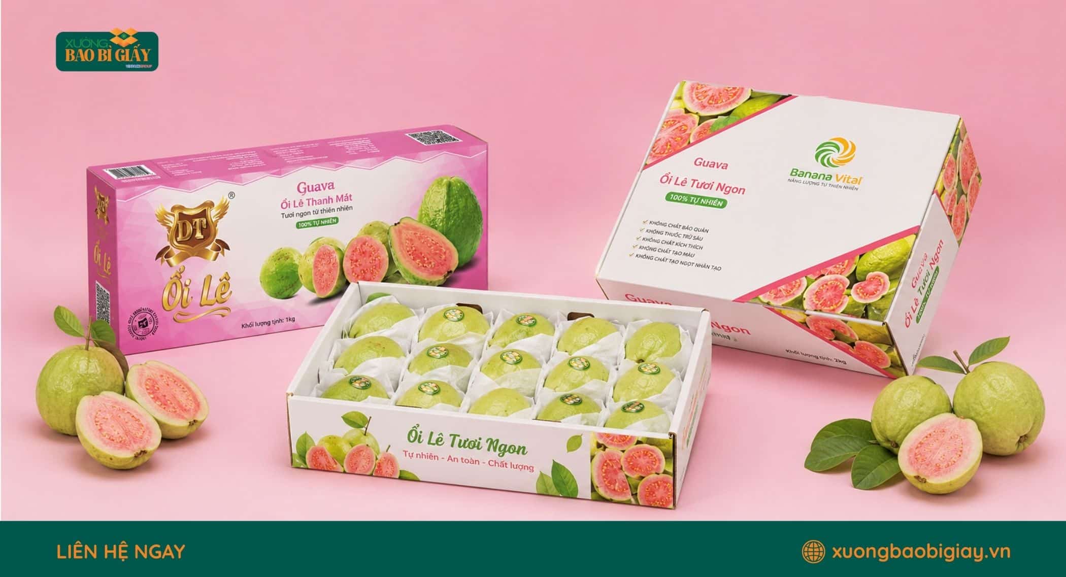 Mẫu thùng carton đựng ổi thiết kế phù hợp nhu cầu đóng gói hàng xuất khẩu