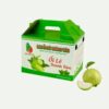 Thùng carton đựng ổi có quai xách tiện lợi cho đóng gói và vận chuyển