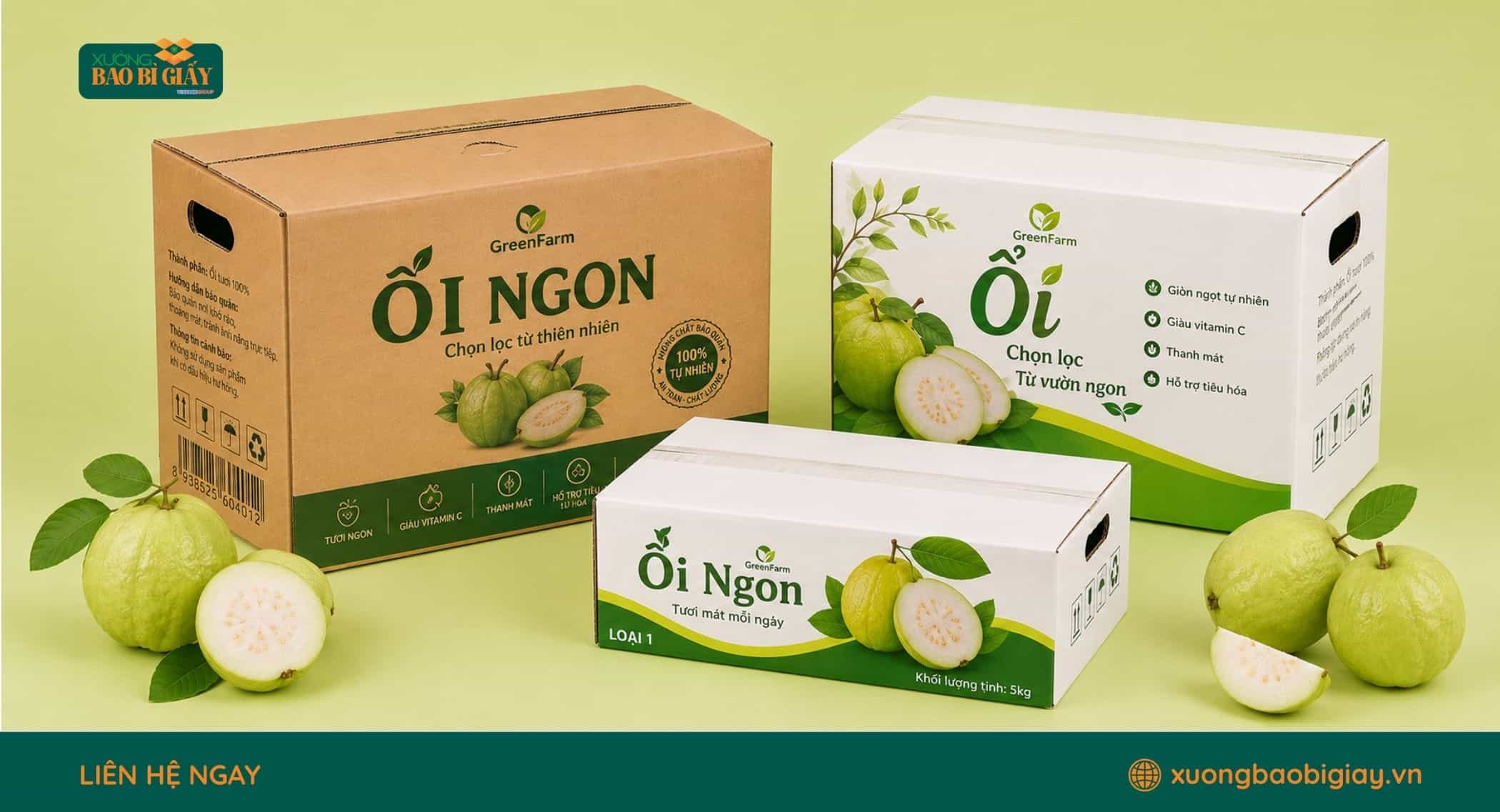 Thùng carton đựng ổi cứng cáp, phù hợp vận chuyển nông sản đường dài