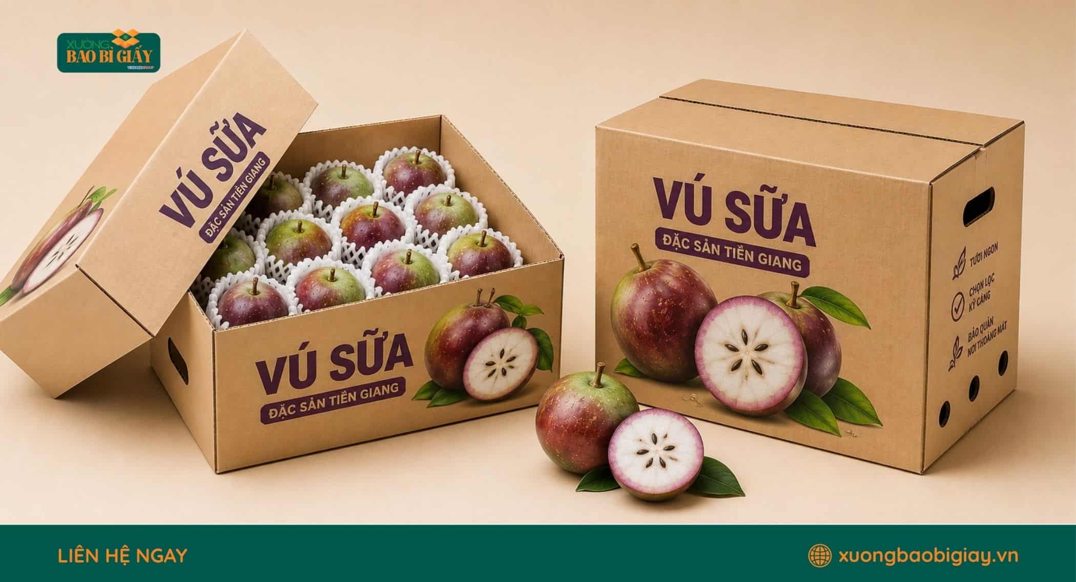 Thùng carton đóng gói vú sữa phục vụ nhu cầu vận chuyển và xuất khẩu nông sản