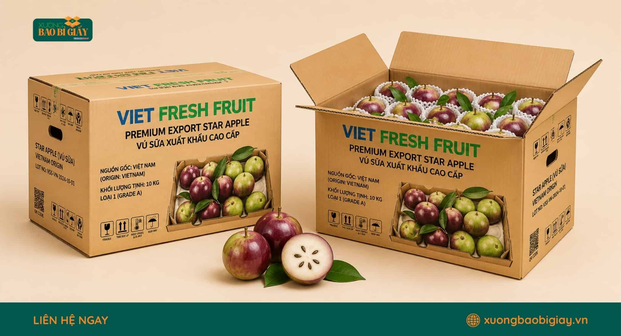 Thùng carton chịu tải phù hợp đóng gói vú sữa số lượng lớn khi vận chuyển