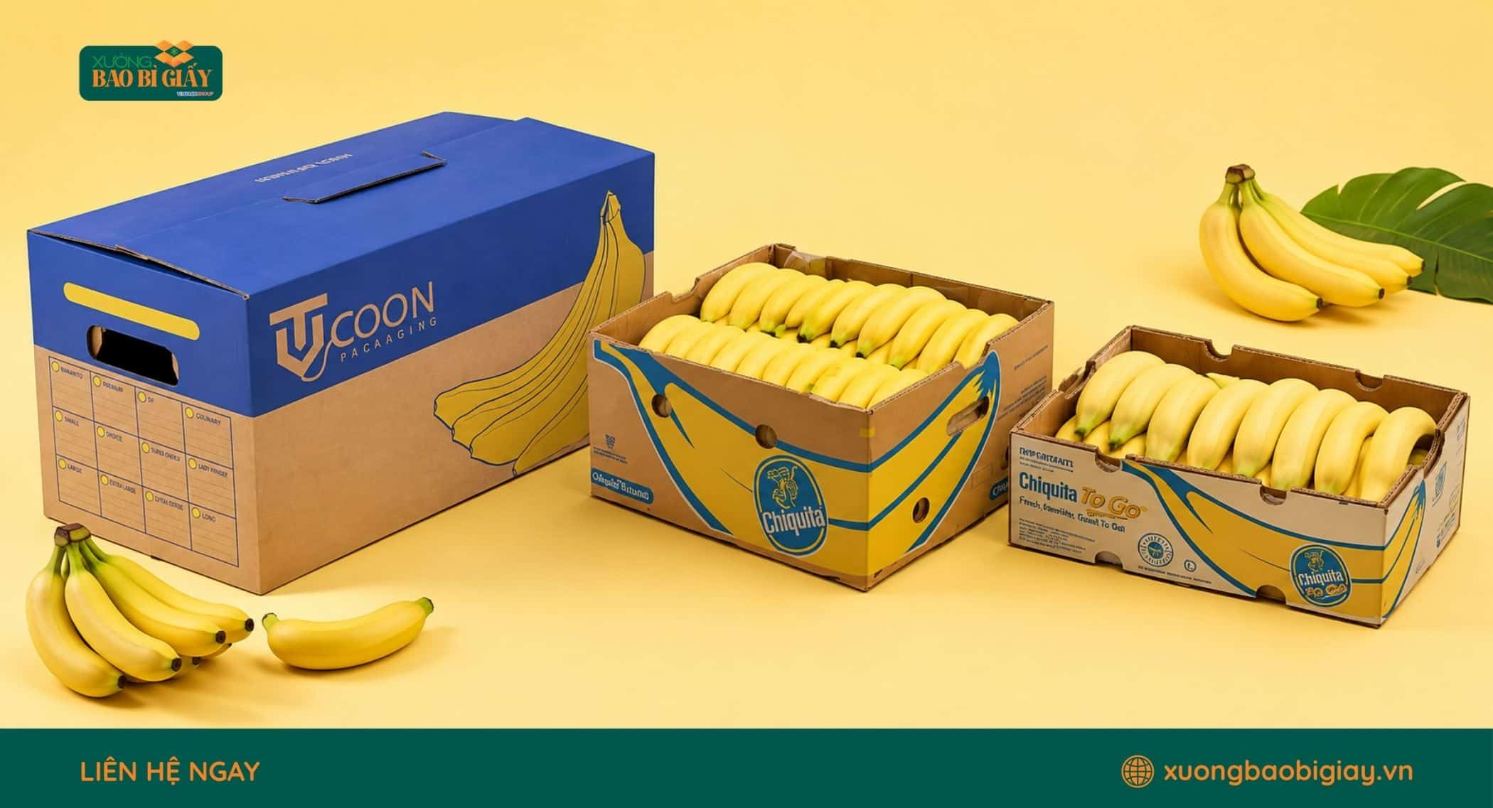 Các tiêu chí cần lưu ý khi sản xuất thùng carton đóng gói chuối
