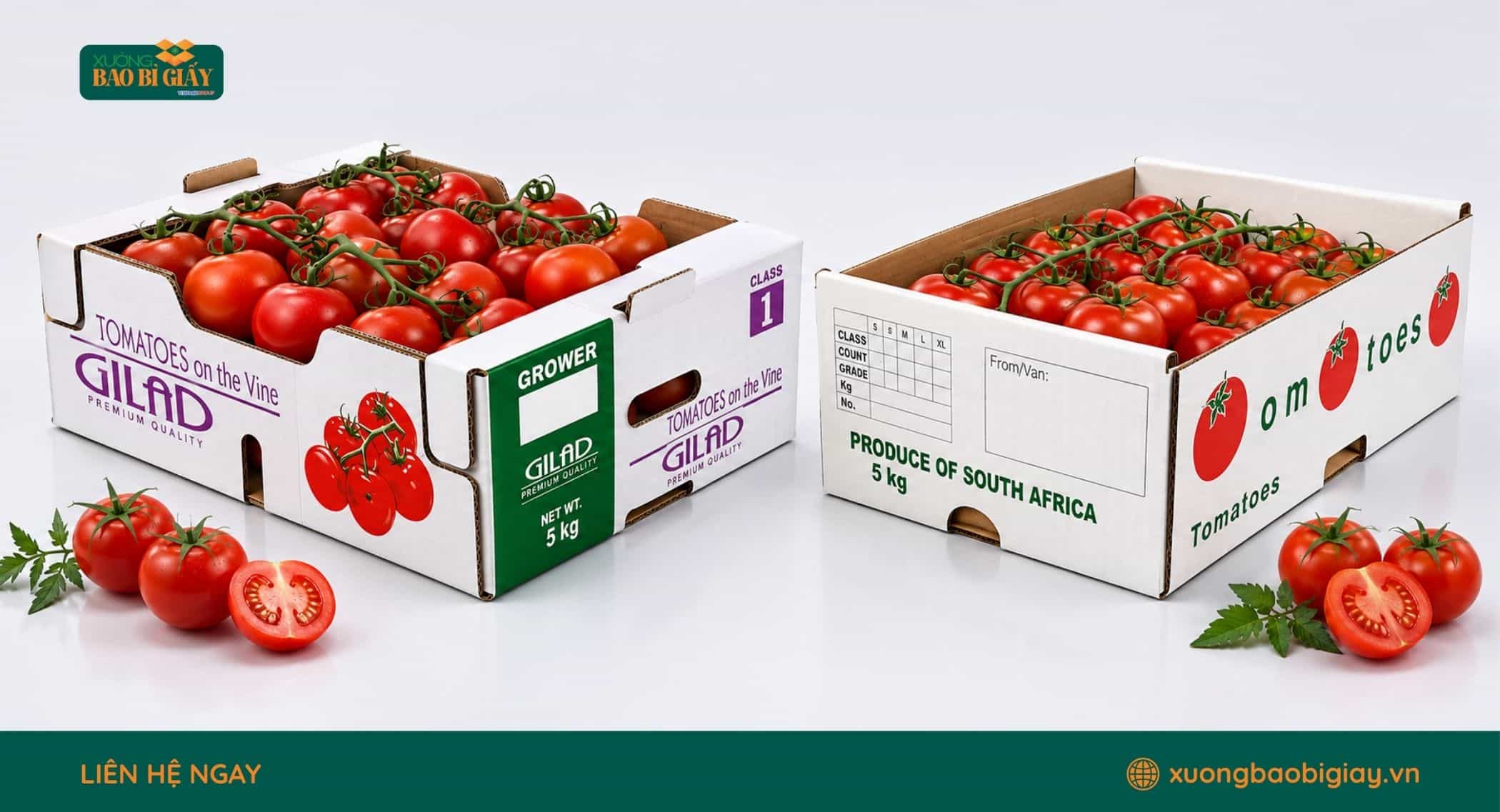 Tiêu chuẩn sản xuất thùng giấy carton phù hợp đóng gói cà chua tươi và cà chua bi