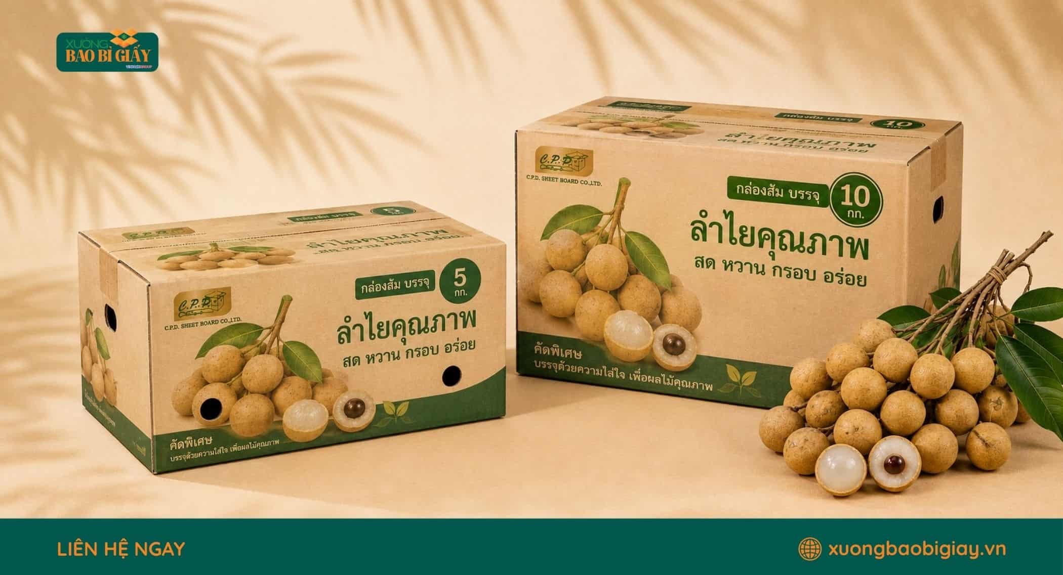 Kiểm soát kết cấu, độ chịu lực và khả năng thông thoáng của thùng carton