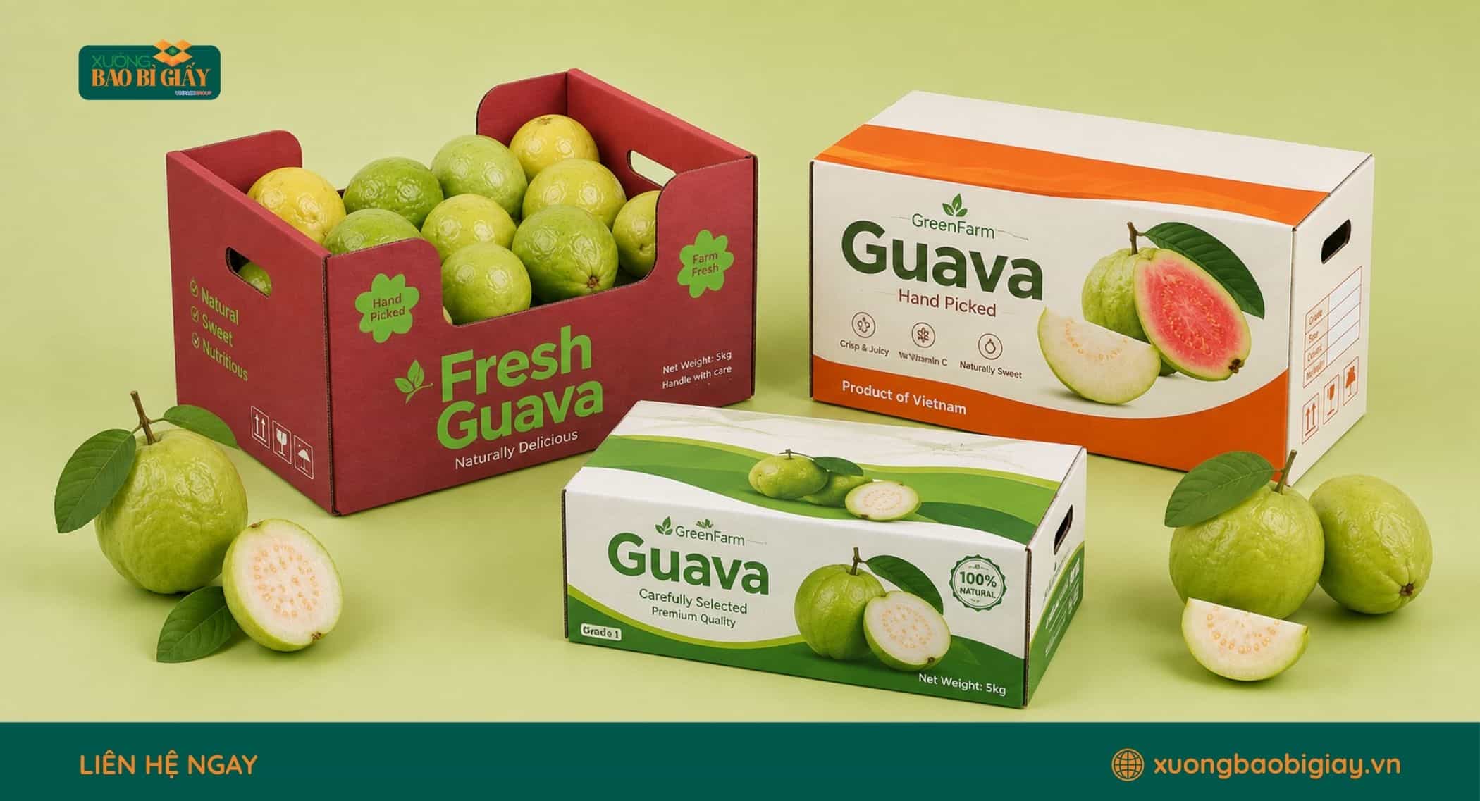 Tiêu chuẩn sản xuất thùng carton đựng ổi theo kích thước và yêu cầu đóng gói