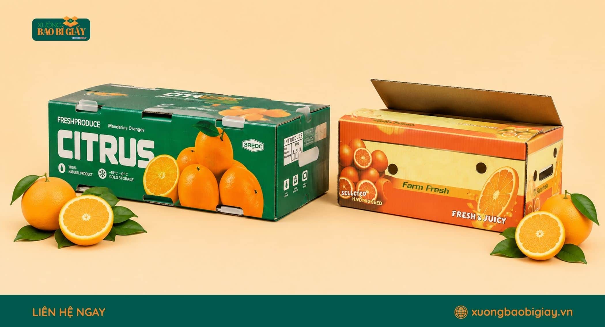 Tiêu chuẩn thiết kế thùng carton đựng cam bền chắc