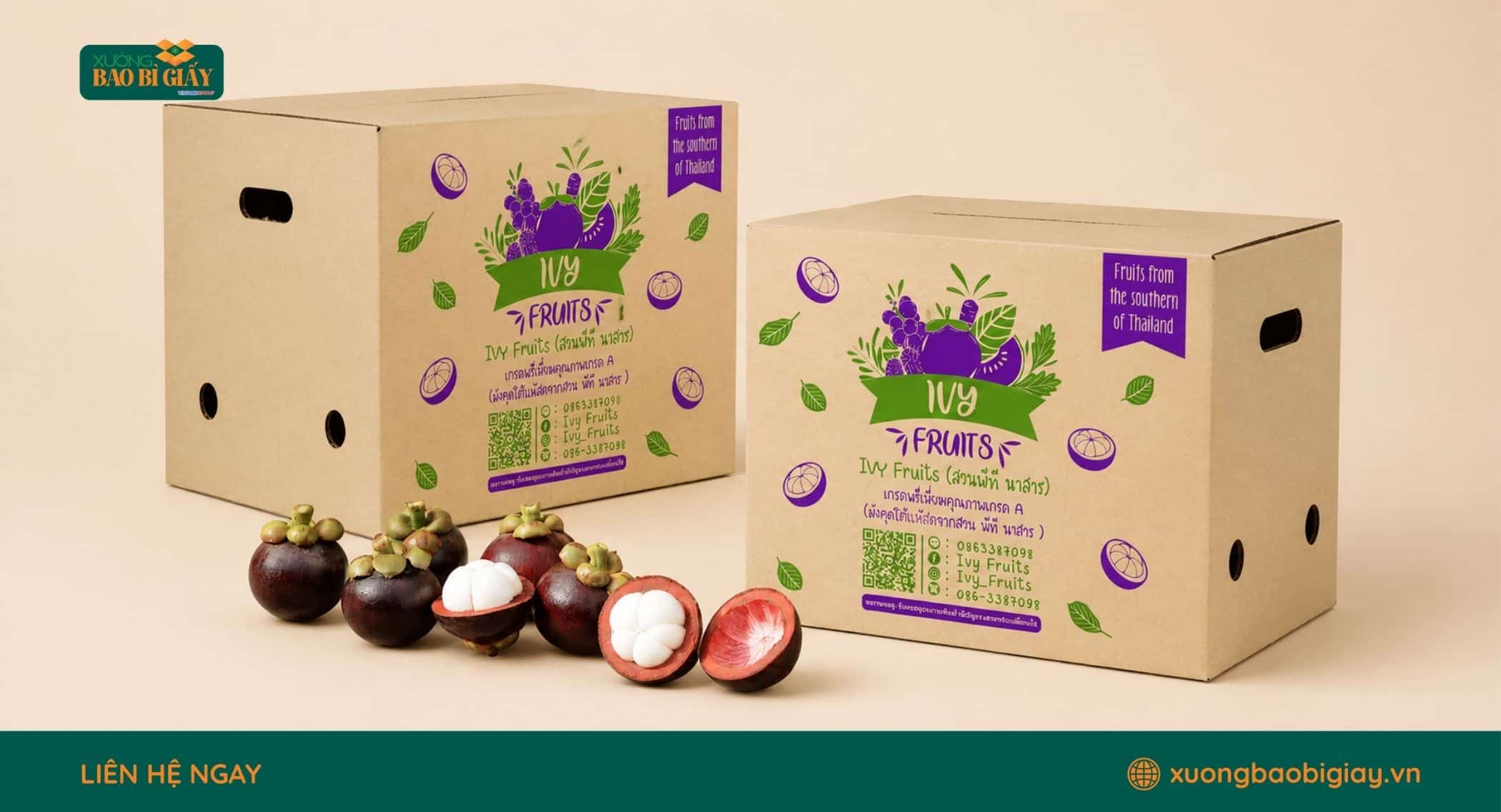 Tiêu chuẩn thiết kế thùng giấy carton phù hợp quy cách đóng gói măng cụt tươi