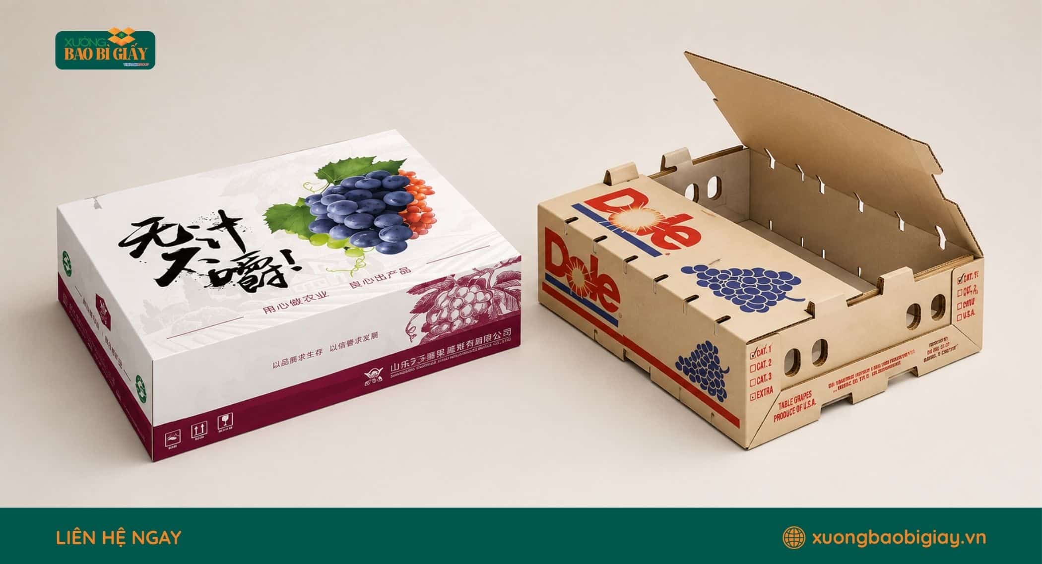 Tiêu chuẩn thiết kế bao bì carton phù hợp quy cách đóng gói nho tươi