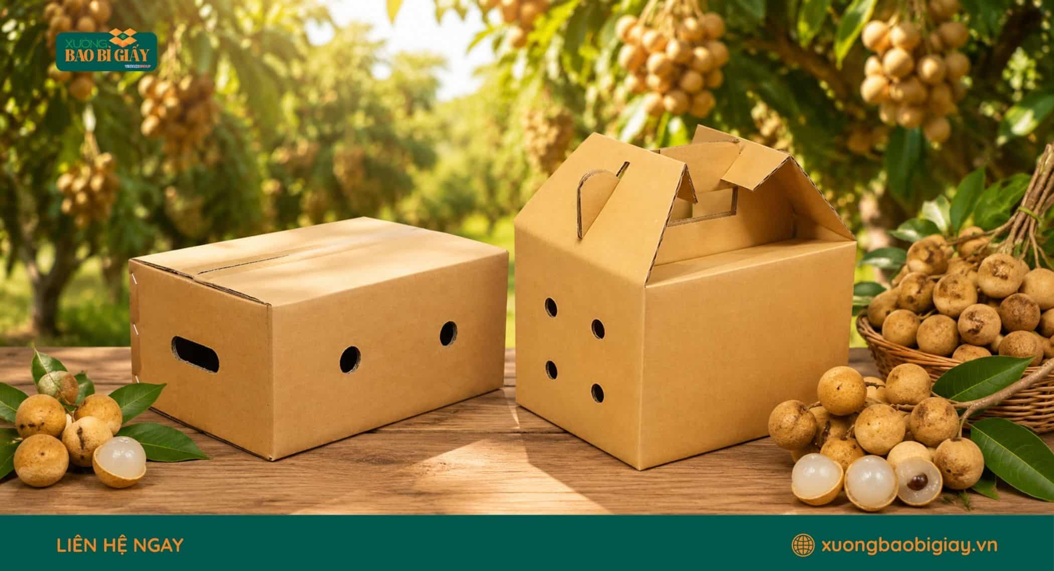 Thùng carton phù hợp giúp hạn chế va đập khi đóng gói và vận chuyển nhãn