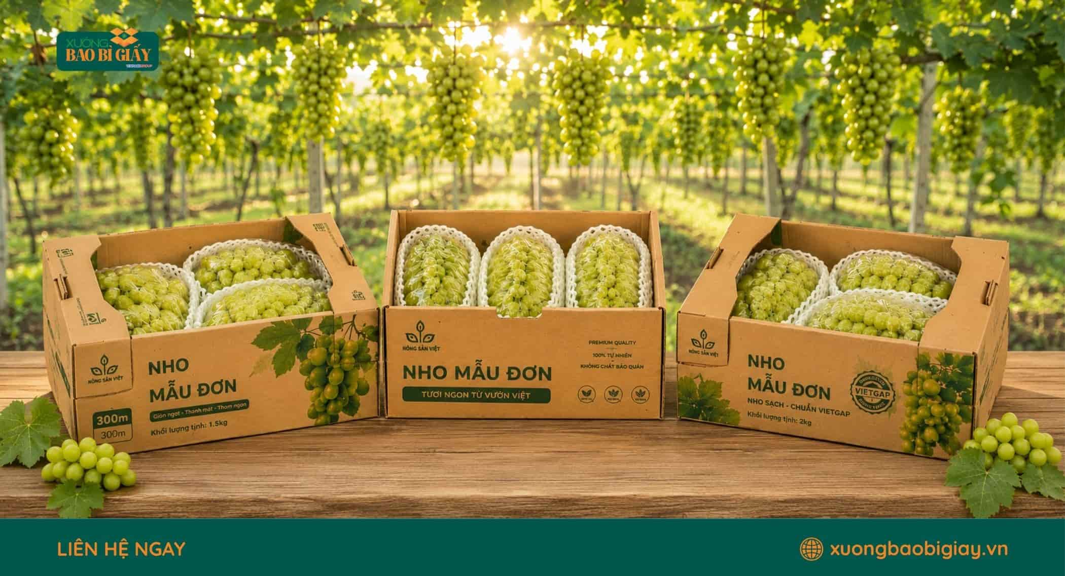 Bao bì carton giúp hạn chế va đập và bảo vệ nho tươi khi vận chuyển