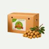 Gia công thùng carton đựng nhãn theo quy cách riêng tại xưởng