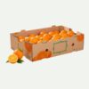 Xưởng sản xuất thùng carton đựng cam theo yêu cầu