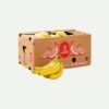Xưởng sản xuất thùng carton đựng chuối theo kích thước và quy cách yêu cầu
