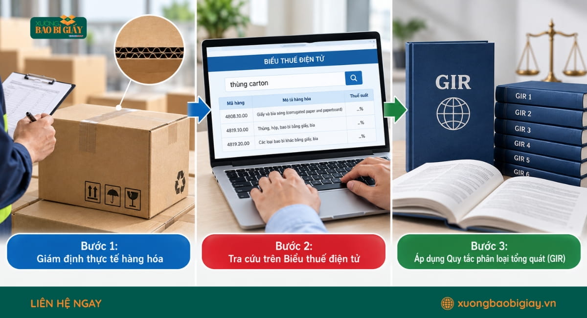 Các bước tra cứu và xác định mã HS code thùng carton chính xác