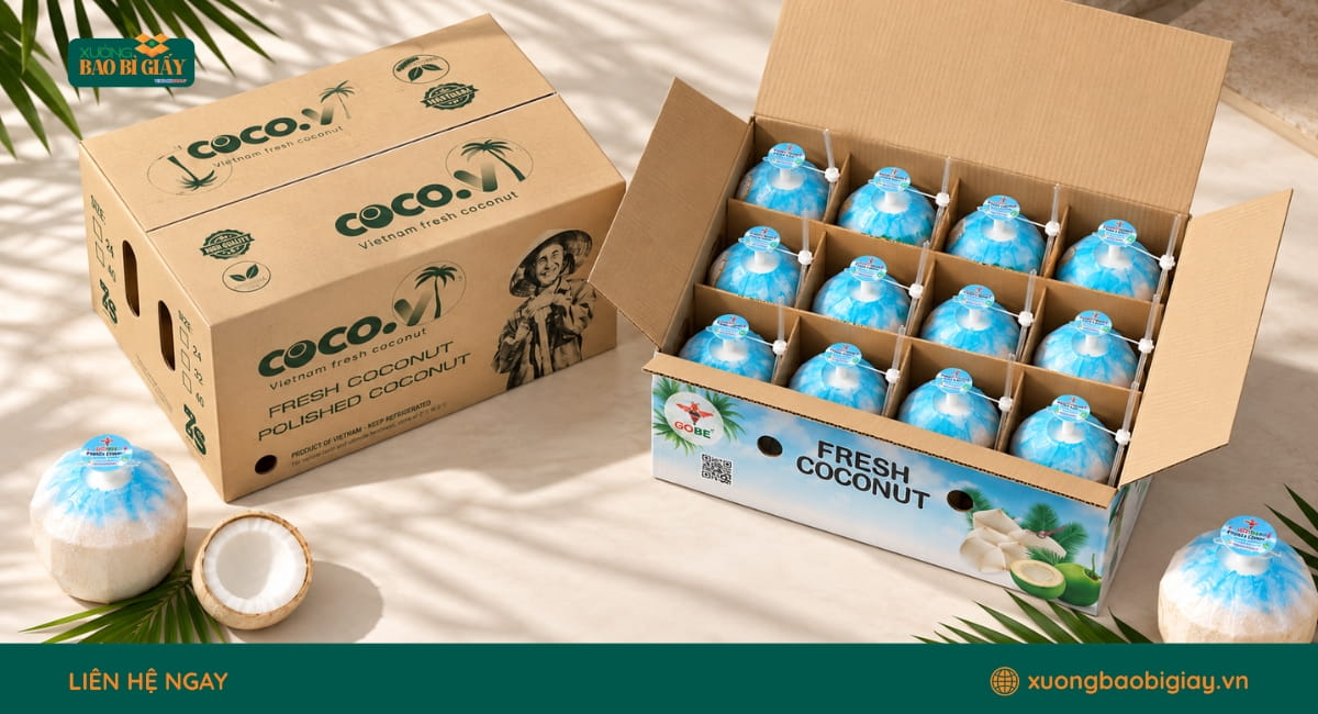 Kích thước thùng carton đựng dừa phù hợp từng quy cách đóng gói