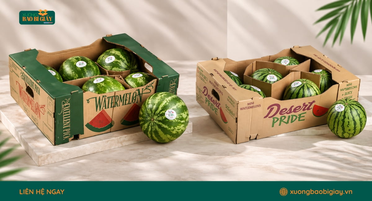 Thùng carton đựng dưa hấu chuẩn xuất khẩu cần đáp ứng yêu cầu về kết cấu và độ chịu lực