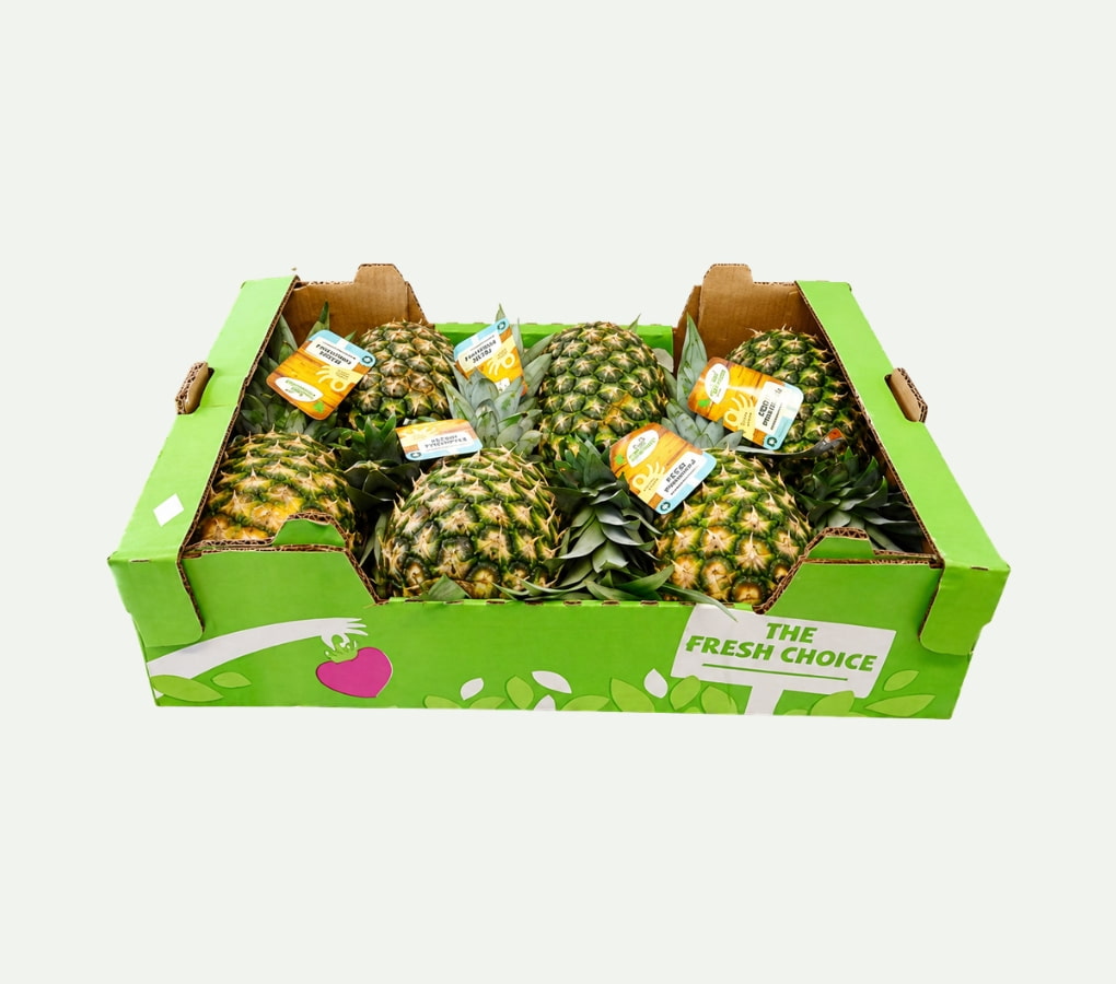 Thùng Carton Đựng Dứa