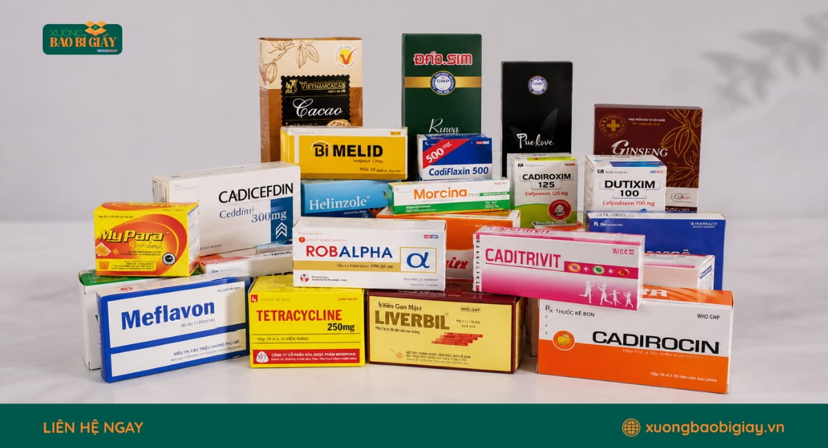 Các tiêu chí quan trọng khi sản xuất hộp giấy đựng thuốc tây