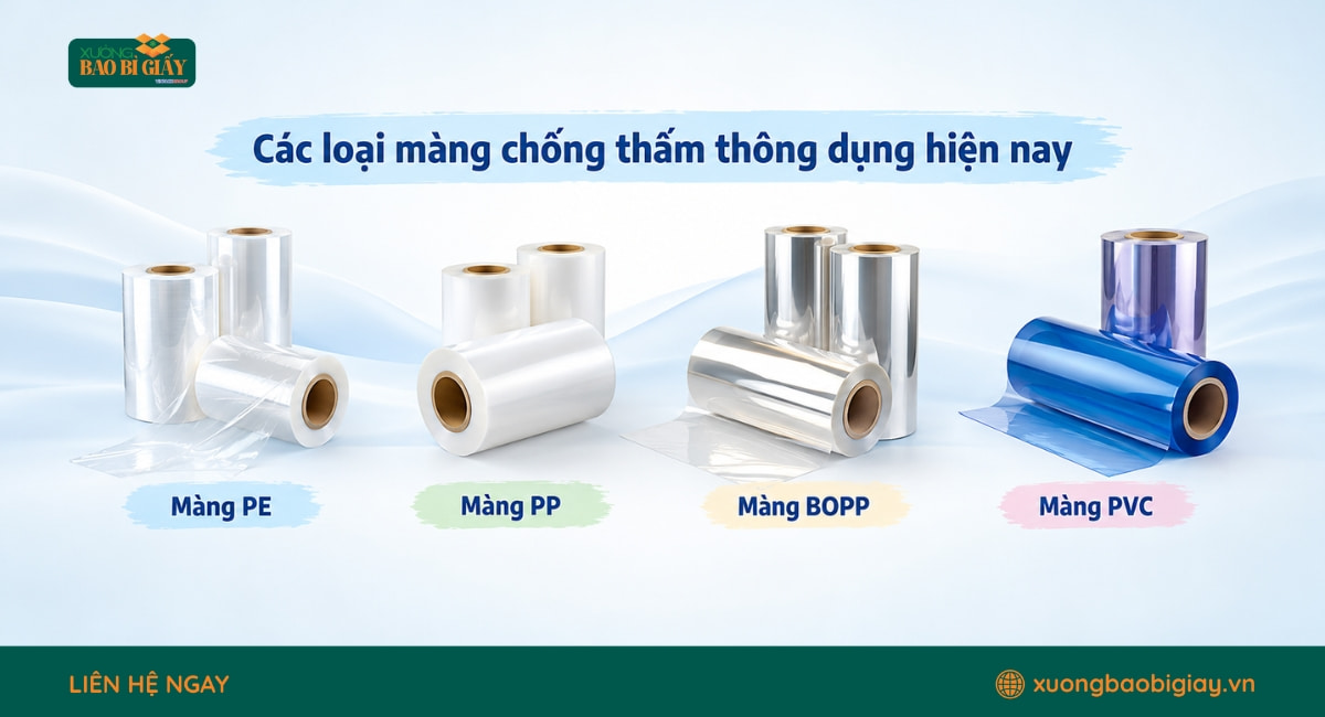 Các loại màng chống thấm dùng cho thùng carton cán màng