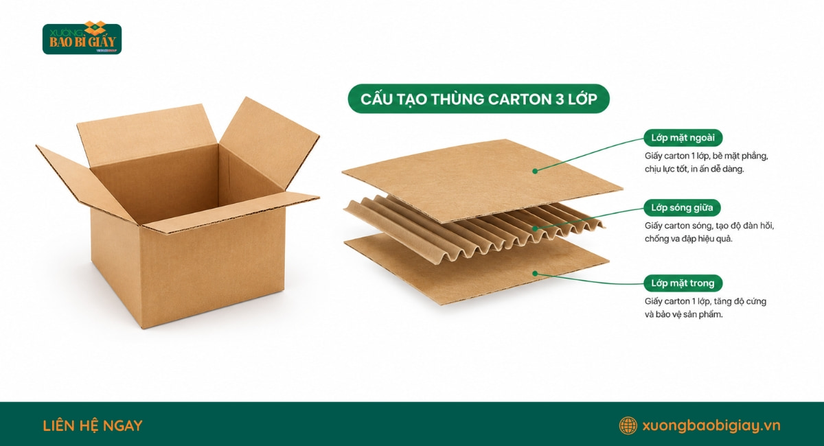 Cấu tạo thùng giấy 3 lớp