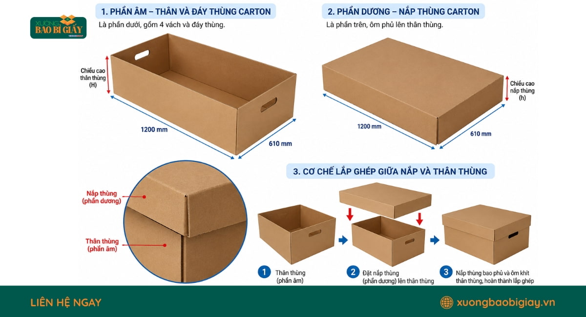 Cấu tạo thùng carton âm dương gồm phần nắp và đáy hộp