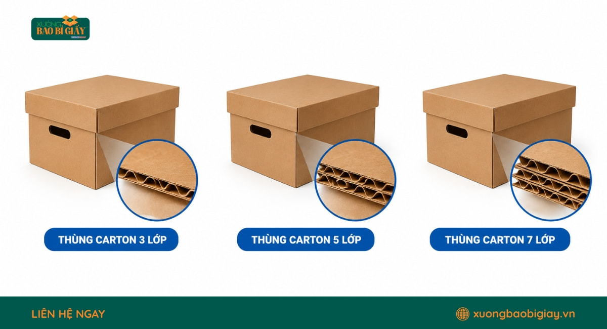 Chất liệu giấy sản xuất thùng carton âm dương