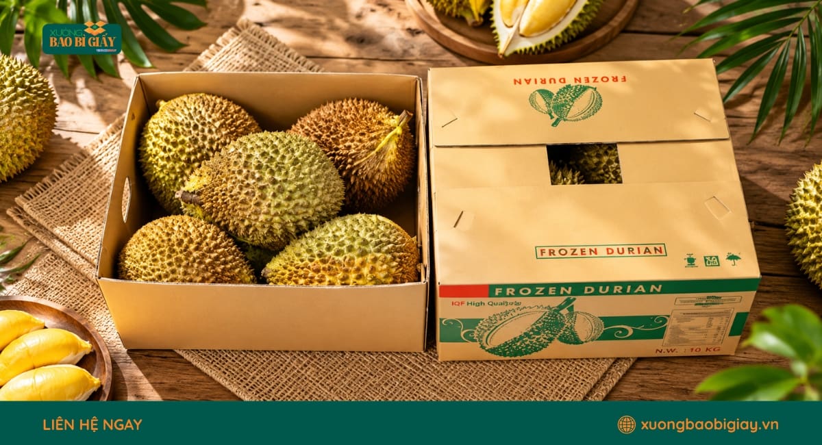 Chất liệu giấy và cấu trúc sóng thường dùng cho thùng carton đựng sầu riêng