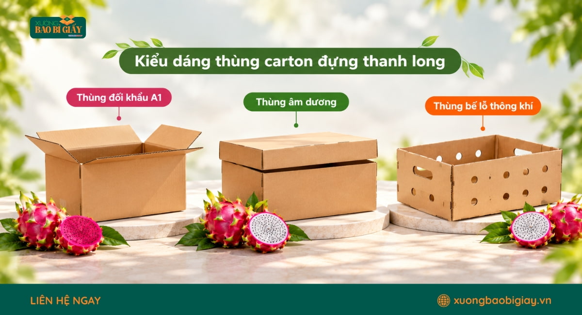 Các kiểu dáng thùng carton đựng thanh long phù hợp từng nhu cầu đóng gói