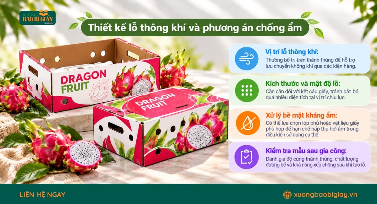 Thiết kế lỗ thông khí và xử lý chống ẩm cho thùng carton đóng gói thanh long