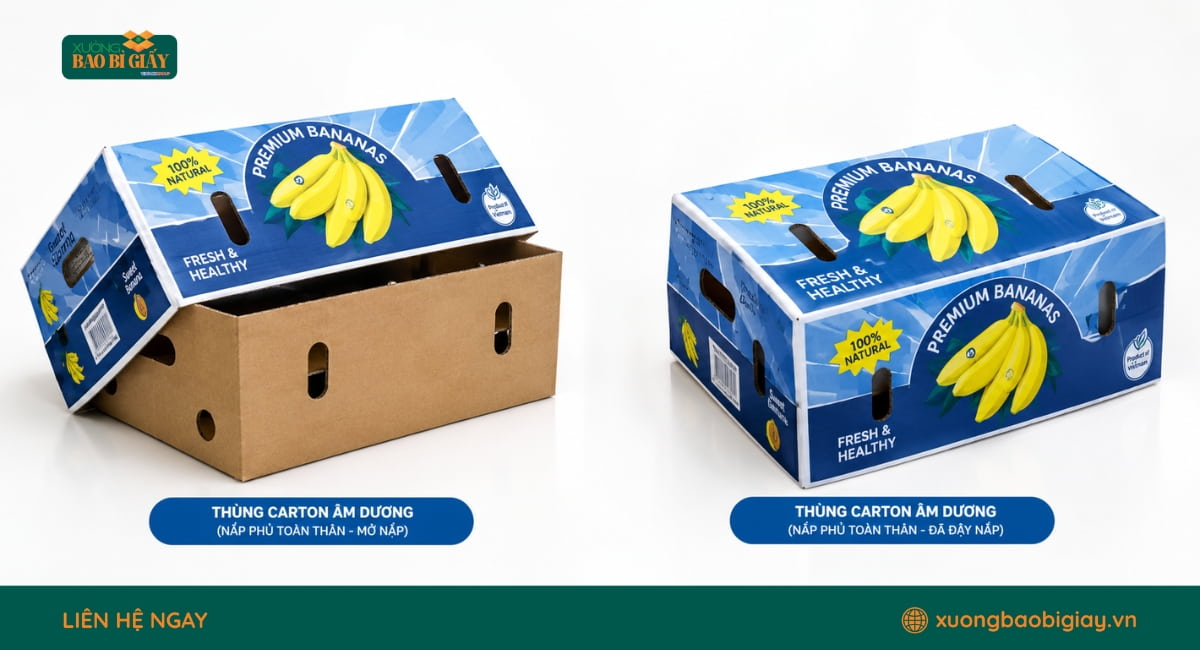 Thùng carton âm dương nắp phủ toàn thân