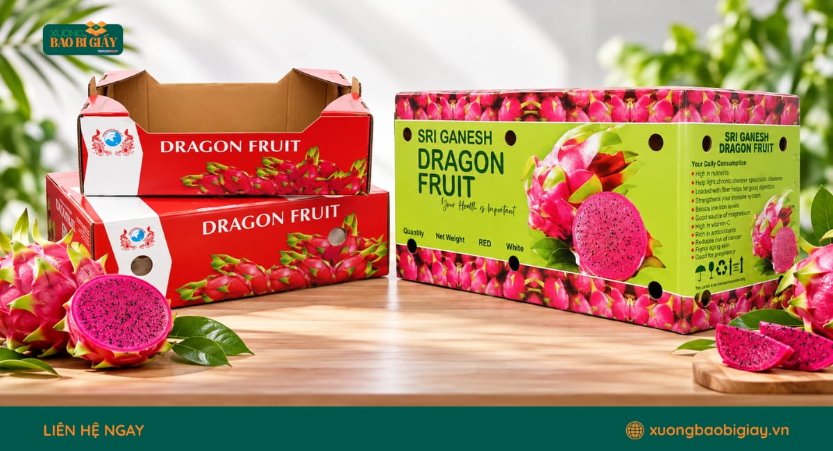 Thùng carton đóng gói thanh long hỗ trợ hạn chế va đập trong quá trình bảo quản
