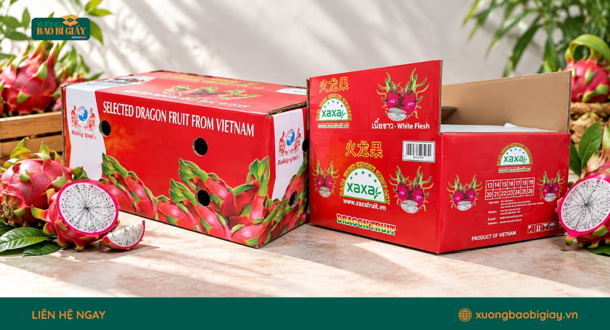 Thùng carton thanh long xuất khẩu được thiết kế theo yêu cầu vận chuyển và xếp hàng