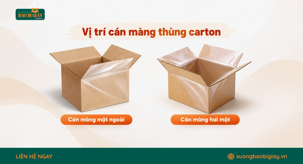 Vị trí cán màng một mặt và hai mặt trên thùng carton cán màng